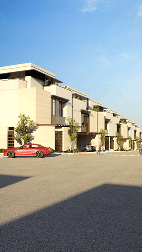 وشاح الصفا - صورة 4